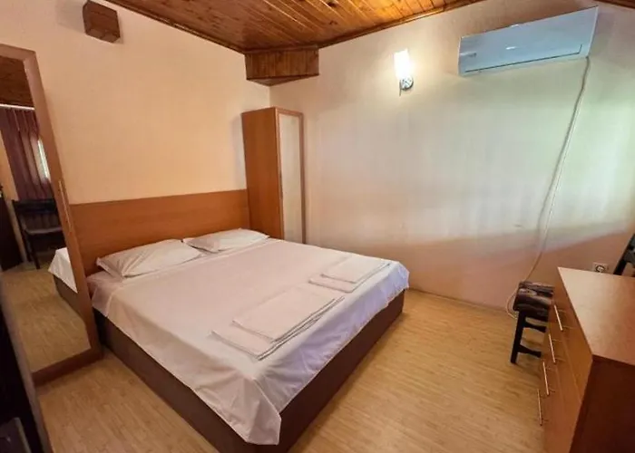 хоризонт-албена *