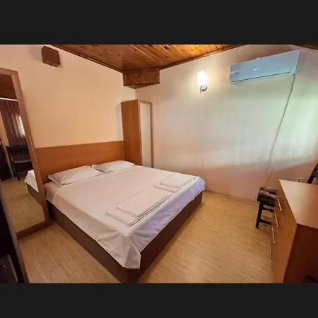 хоризонт-албена *